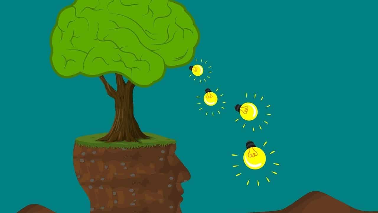 Do Food Stamps Affect Medicaid? Understanding the Connections